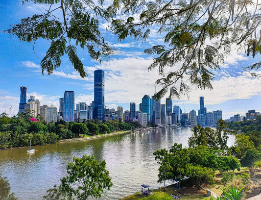 One of the best picnic spots in Brisbane on a sunny afternoon